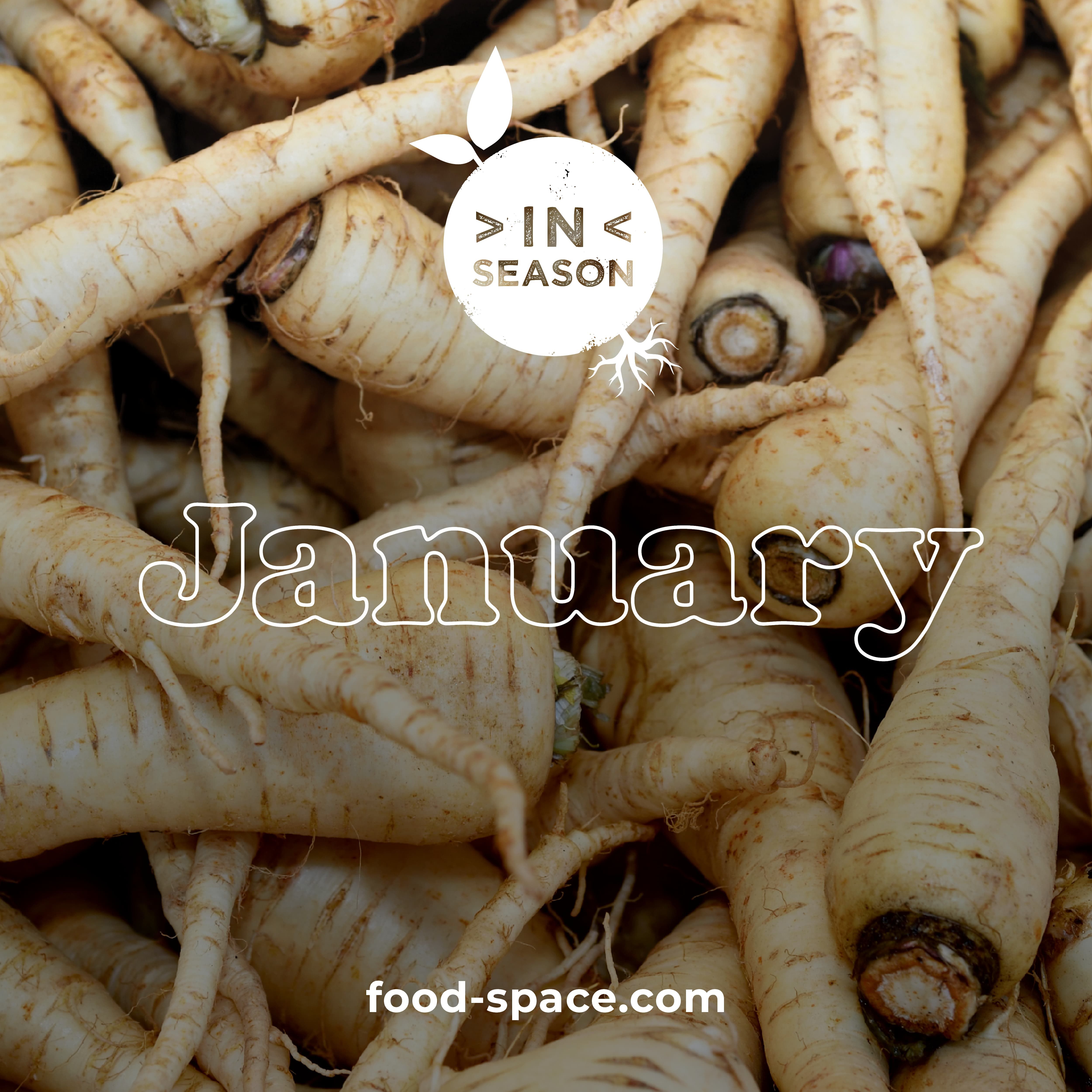 january in season blog card
