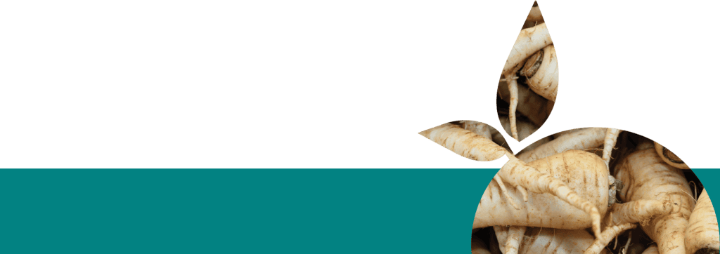 parsnips blog footer