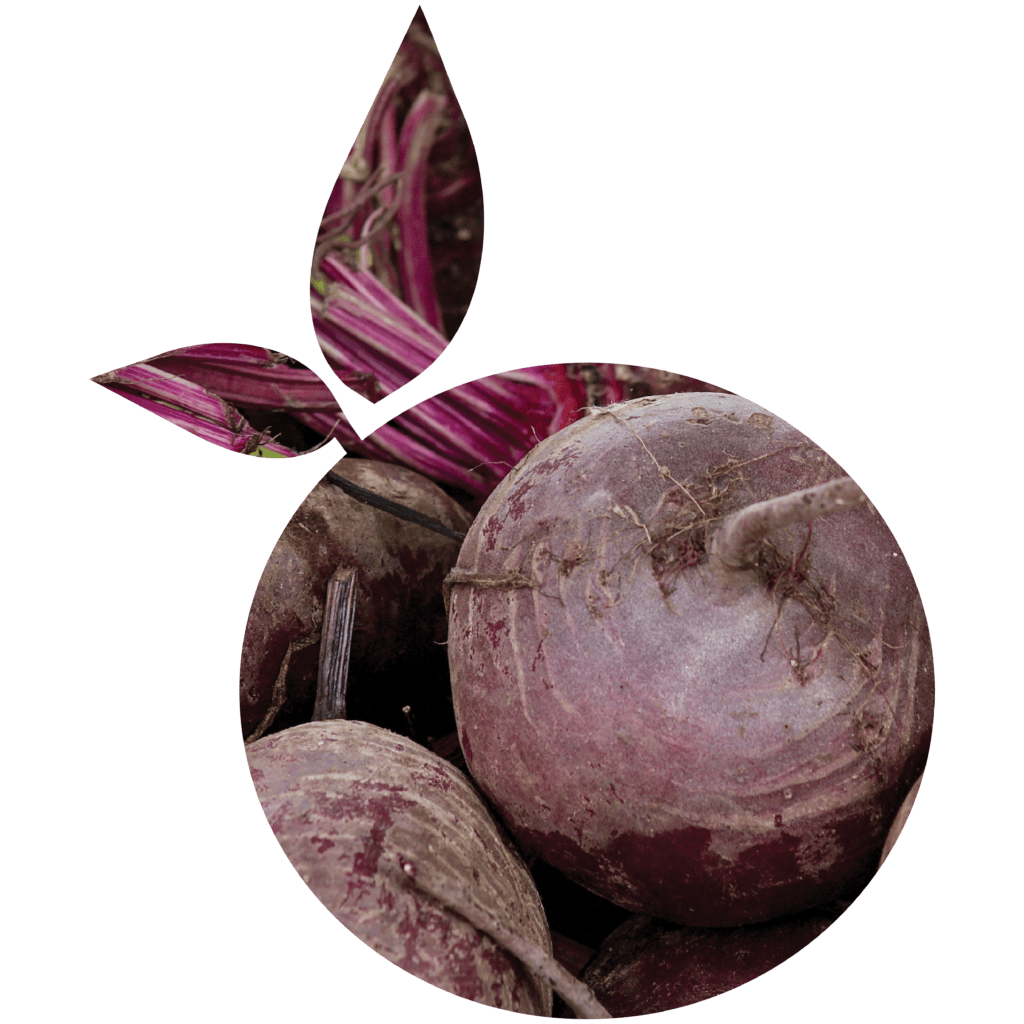beetroot