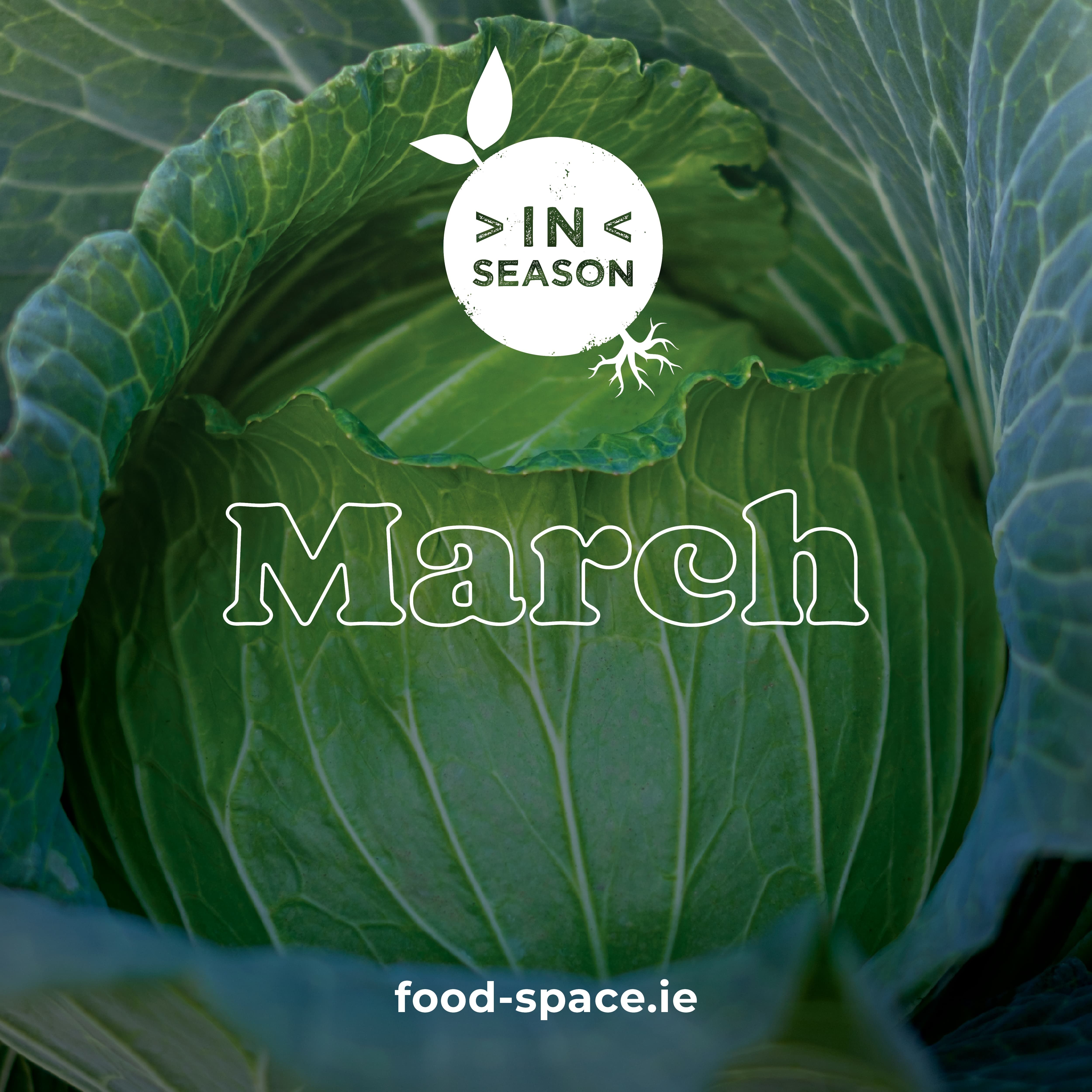 march in season blog card