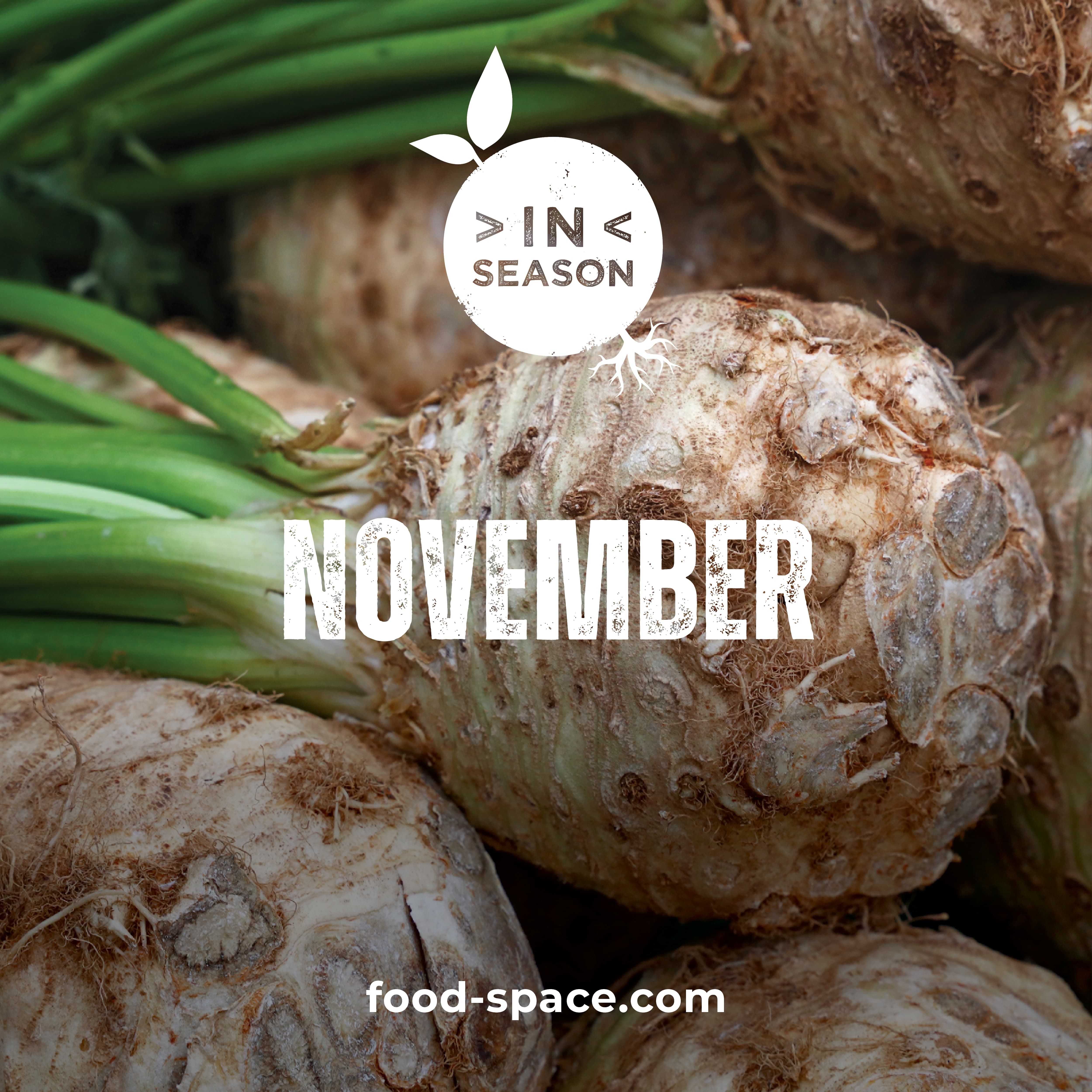 november in season blog card