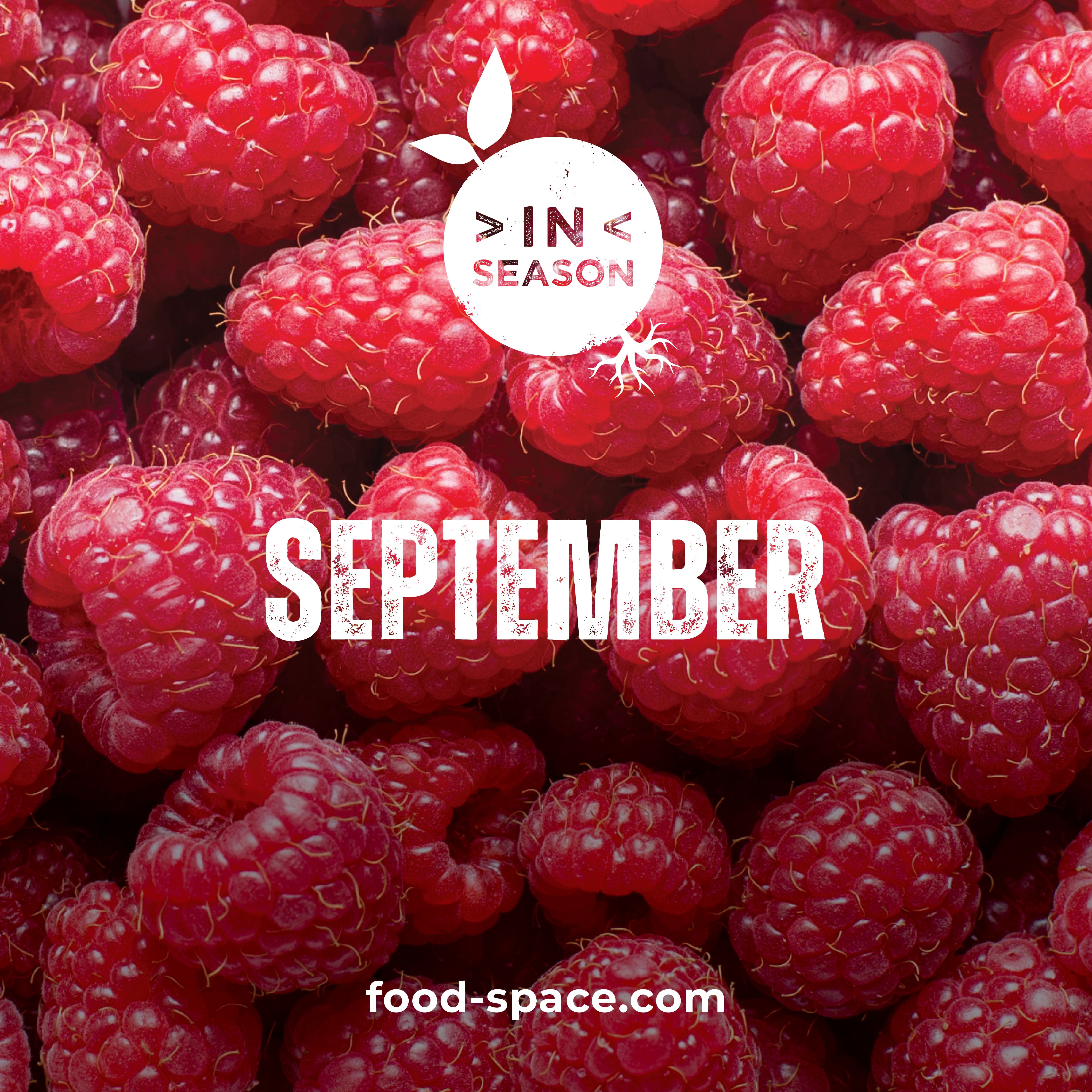 september in season blog card