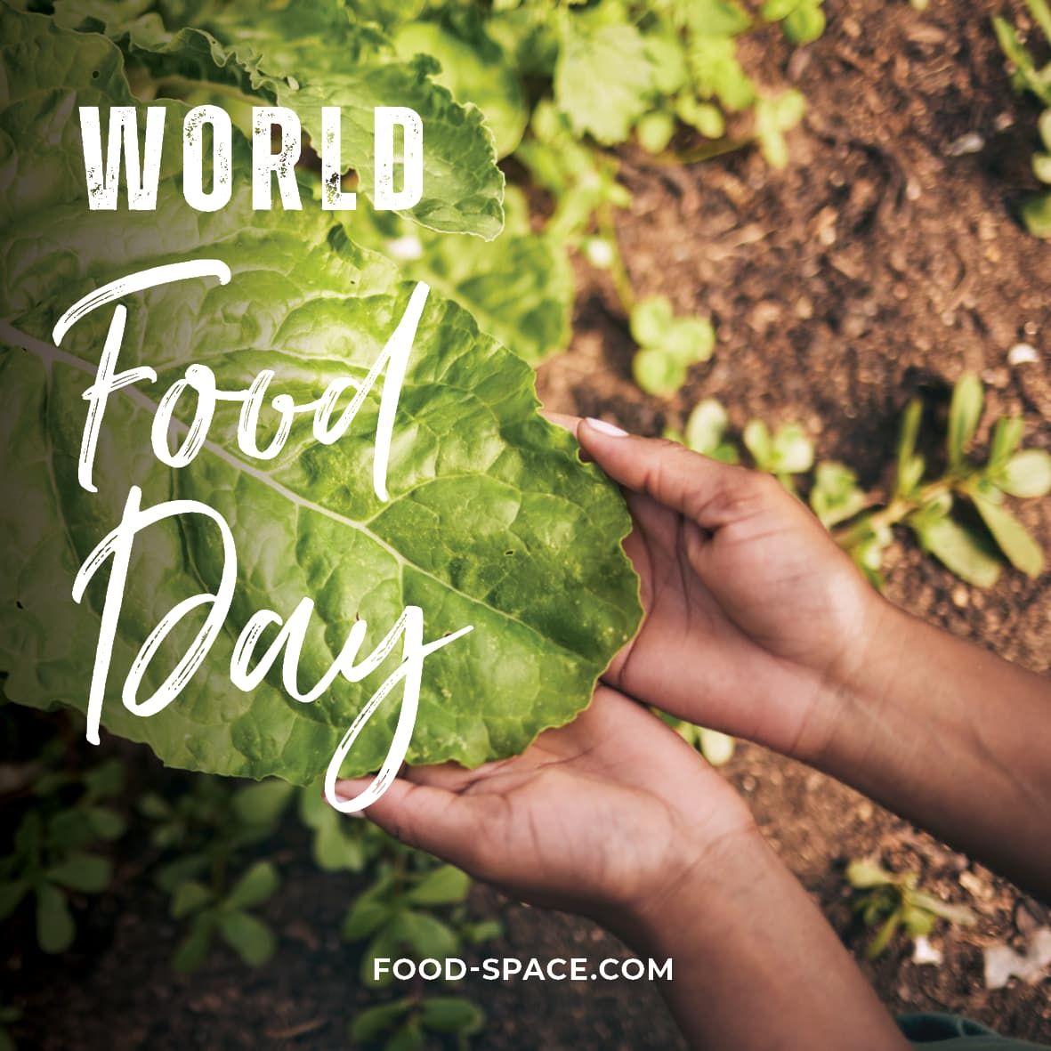 world food day blog card