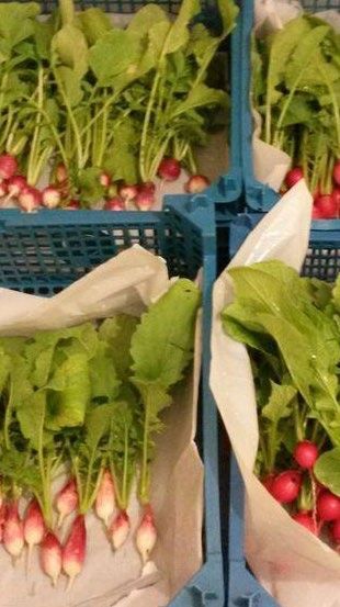 burkes fruit and veg